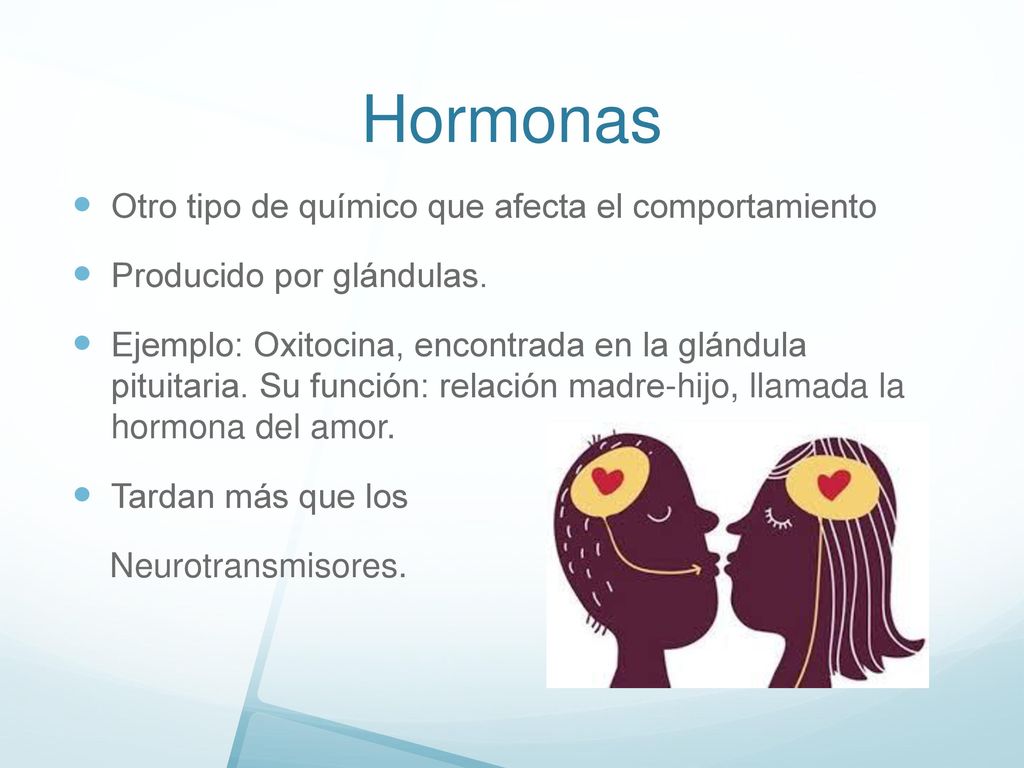 Hormonas Otro tipo de químico que afecta el comportamiento