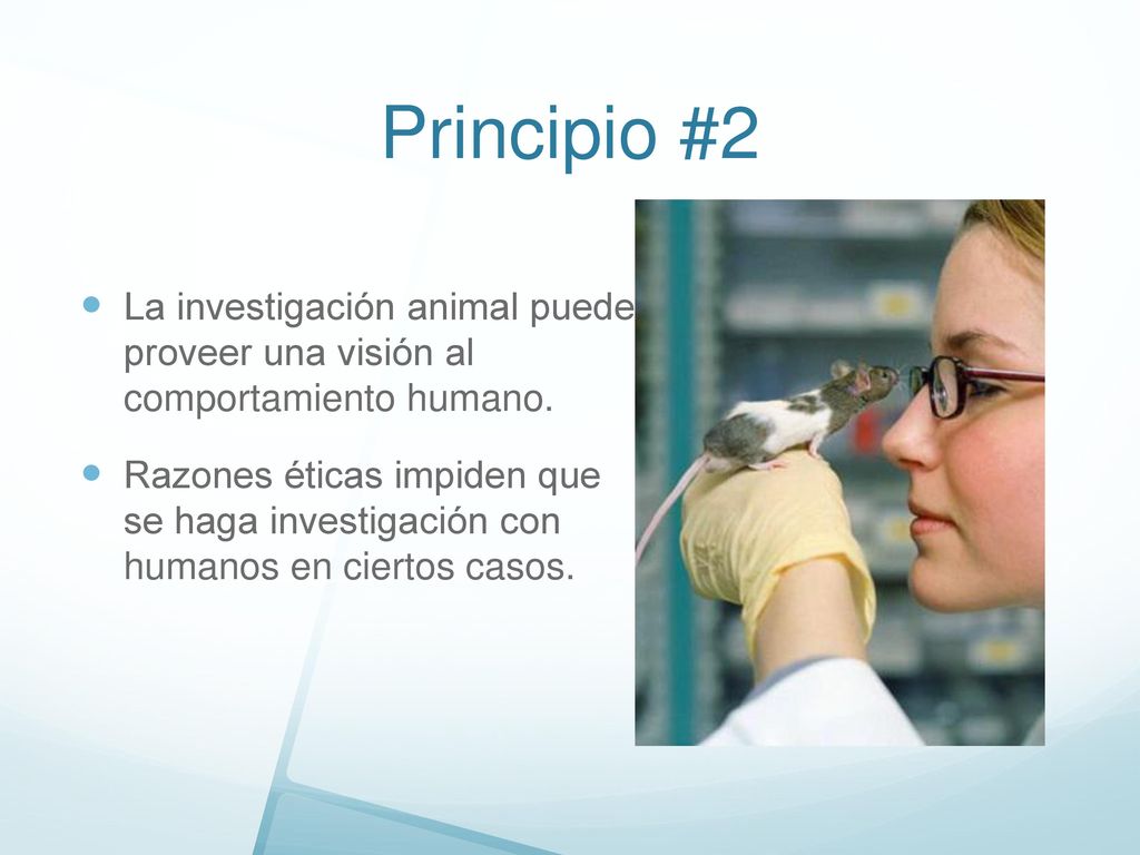 Principio #2 La investigación animal puede proveer una visión al comportamiento humano.