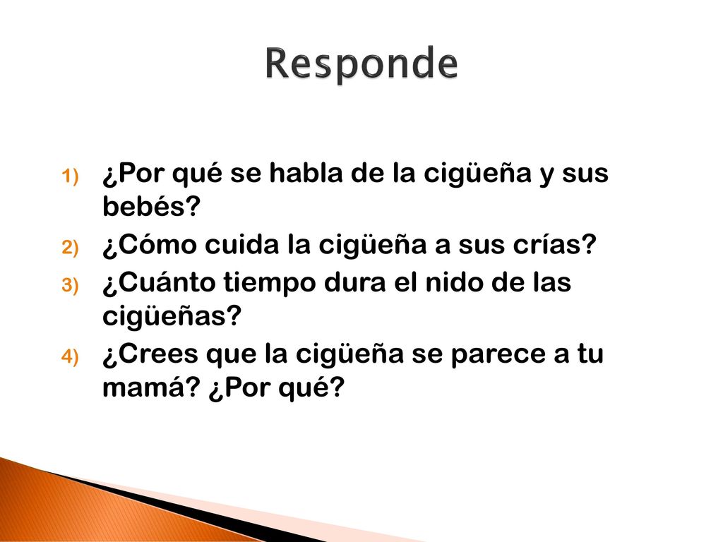 Responde ¿Por qué se habla de la cigüeña y sus bebés