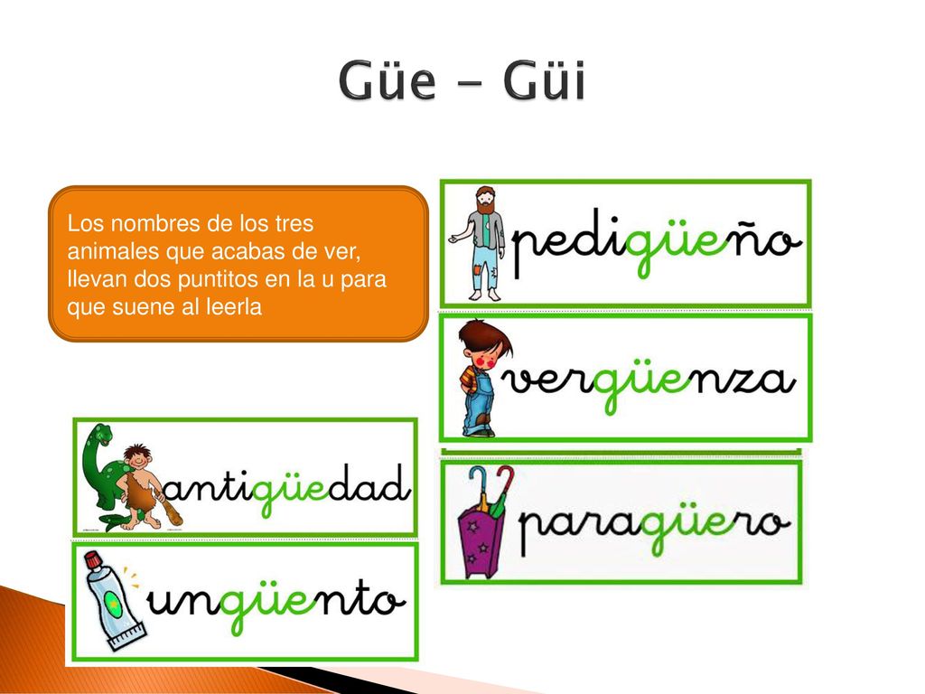 Güe - Güi Los nombres de los tres animales que acabas de ver, llevan dos puntitos en la u para que suene al leerla.