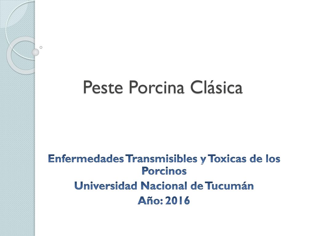 Peste Porcina Clásica Enfermedades Transmisibles y Toxicas de los Porcinos. Universidad Nacional de Tucumán.