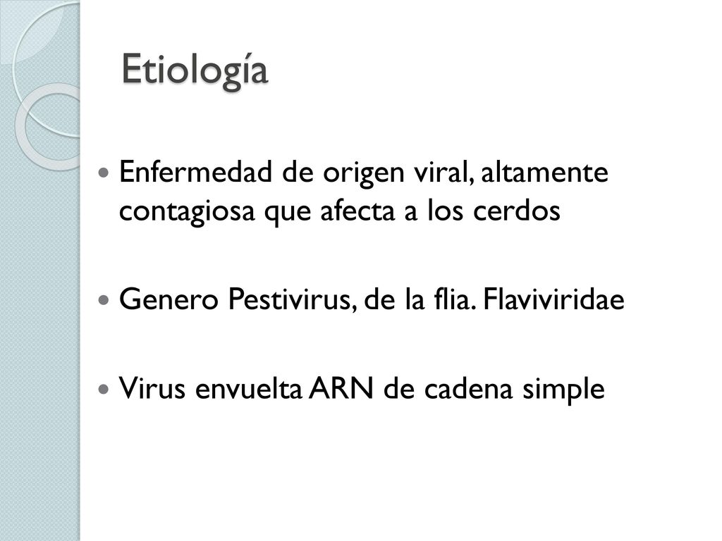 Etiología Enfermedad de origen viral, altamente contagiosa que afecta a los cerdos. Genero Pestivirus, de la flia. Flaviviridae.