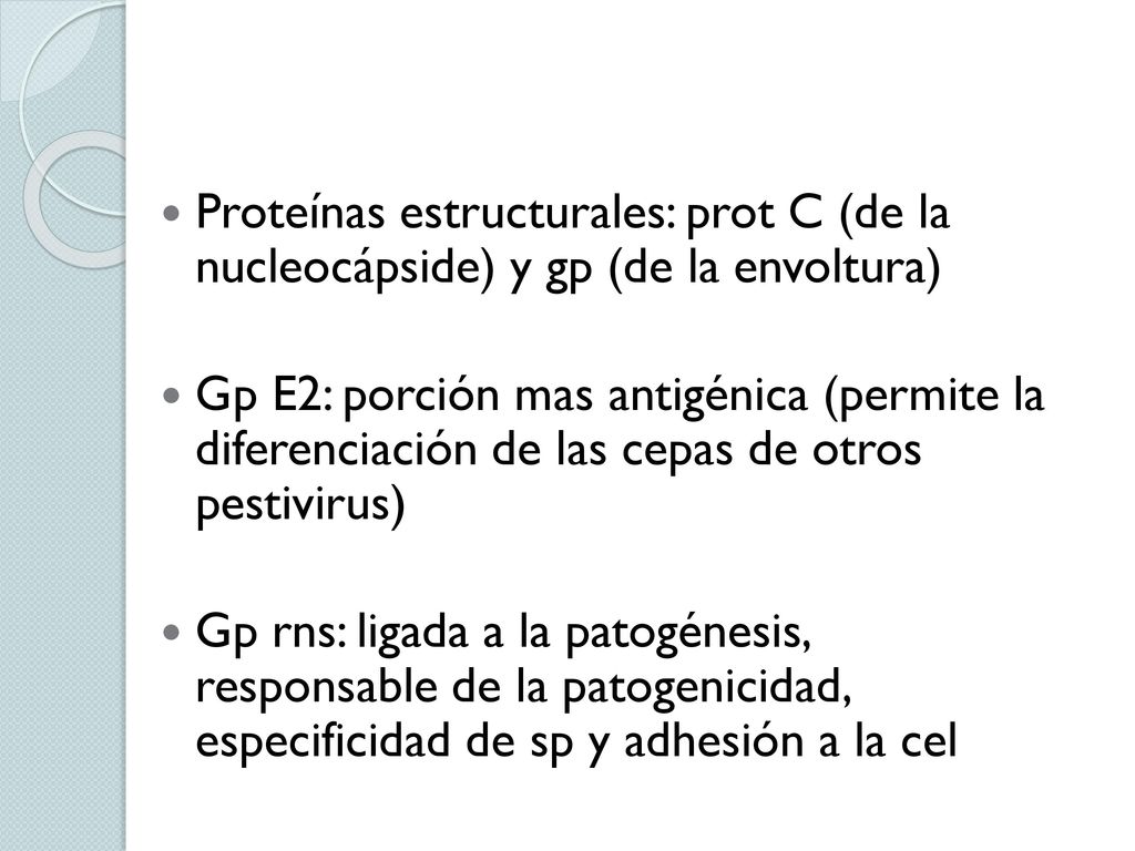 Proteínas estructurales: prot C (de la nucleocápside) y gp (de la envoltura)