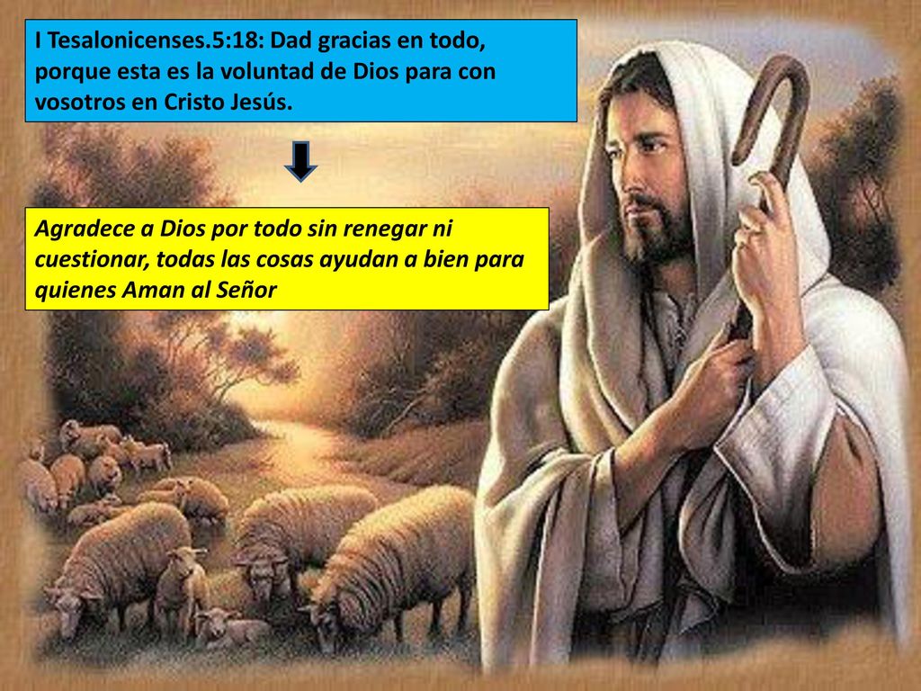 I Tesalonicenses.5:18: Dad gracias en todo, porque esta es la voluntad de Dios para con vosotros en Cristo Jesús.