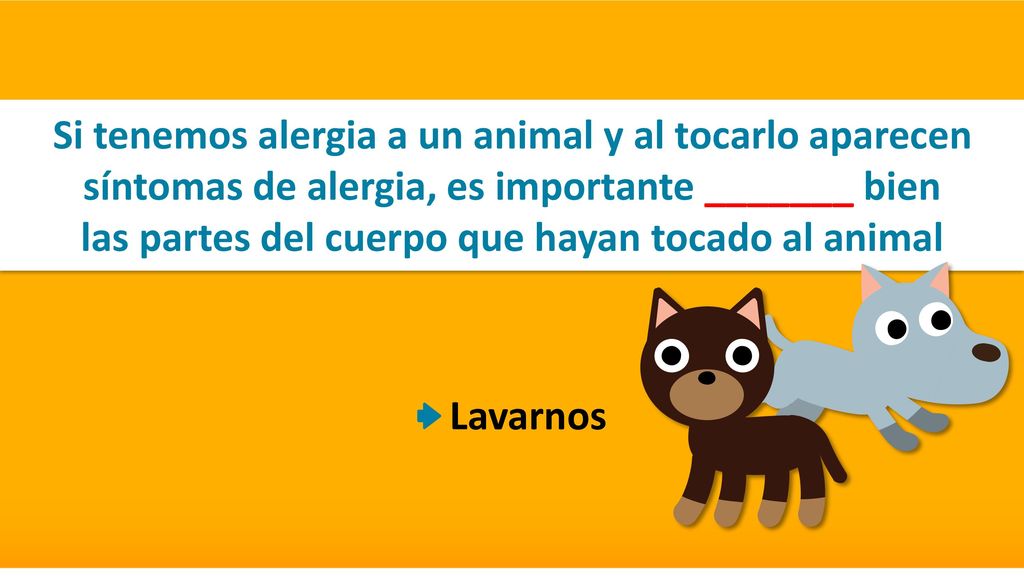Si tenemos alergia a un animal y al tocarlo aparecen síntomas de alergia, es importante _______ bien las partes del cuerpo que hayan tocado al animal