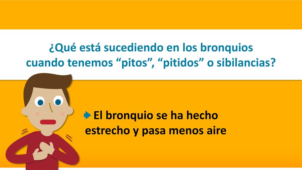 El bronquio se ha hecho estrecho y pasa menos aire