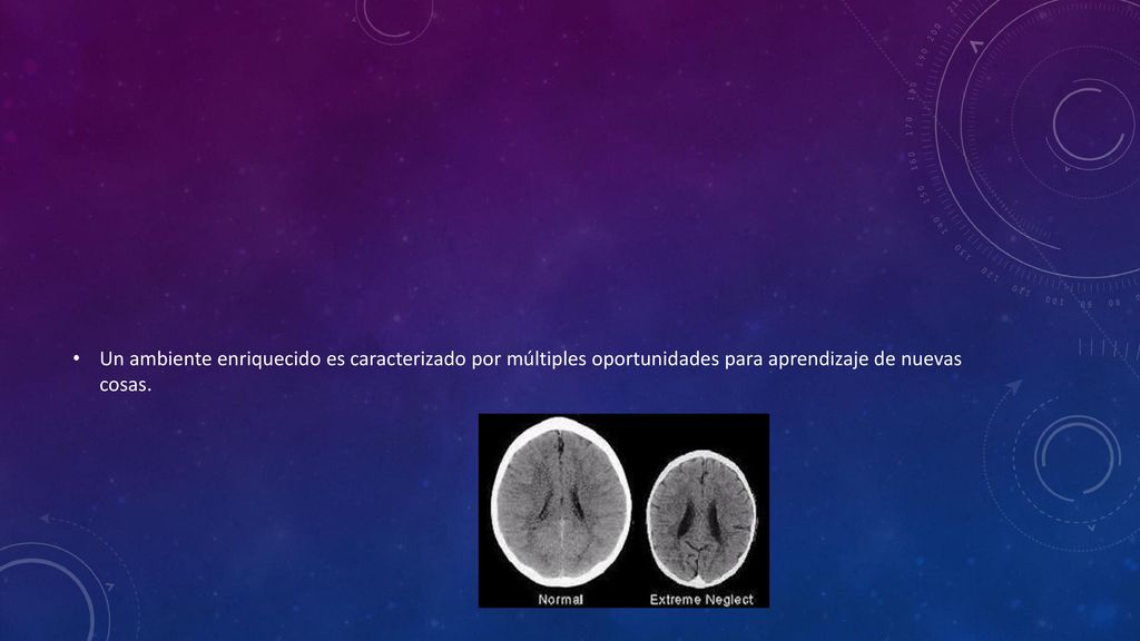 Un ambiente enriquecido es caracterizado por múltiples oportunidades para aprendizaje de nuevas cosas.