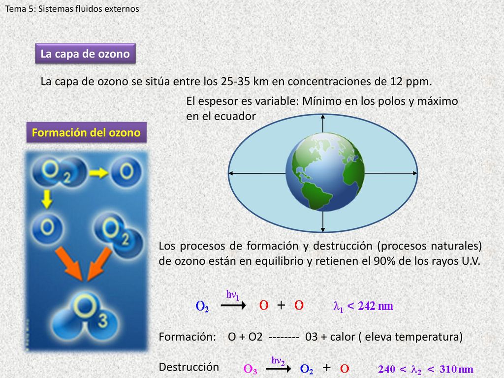 El espesor es variable: Mínimo en los polos y máximo en el ecuador