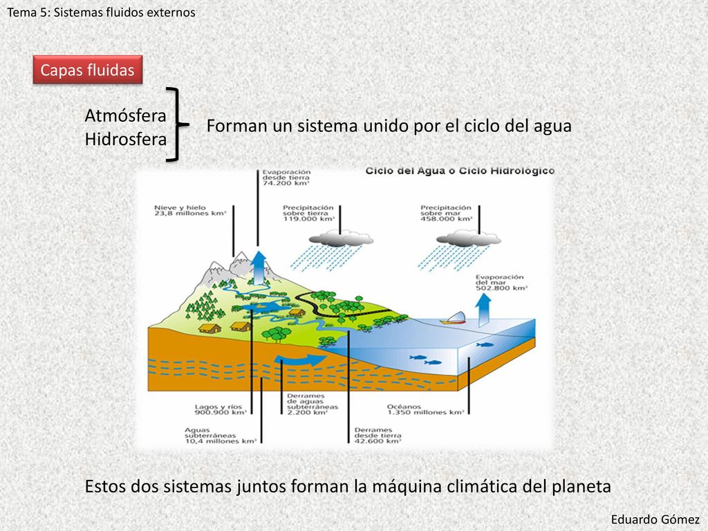 Forman un sistema unido por el ciclo del agua