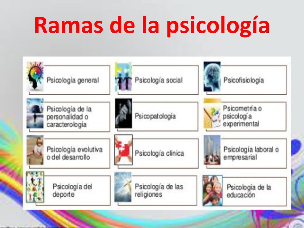 Ramas de la psicología Psicología experimental Psicología Social Algunas  ramas o áreas especializadas en la Psicología son: Psicología. - ppt  descargar