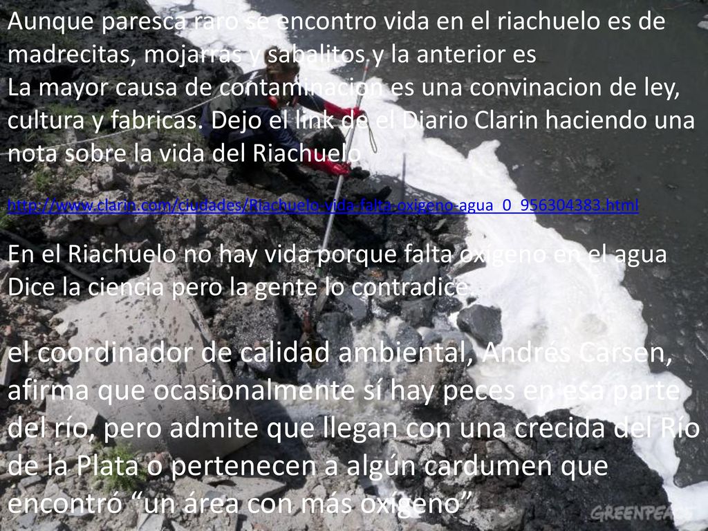 Aunque paresca raro se encontro vida en el riachuelo es de madrecitas, mojarras y sabalitos y la anterior es