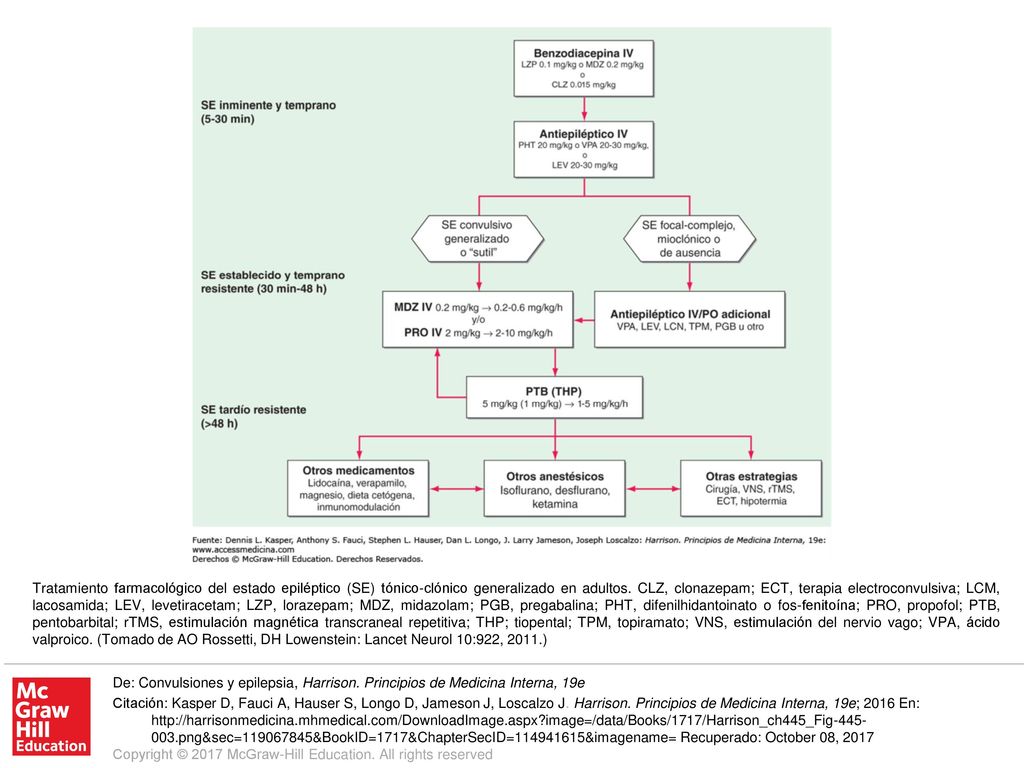 Tratamiento farmacológico del estado epiléptico (SE) tónico-clónico generalizado en adultos. CLZ, clonazepam; ECT, terapia electroconvulsiva; LCM, lacosamida; LEV, levetiracetam; LZP, lorazepam; MDZ, midazolam; PGB, pregabalina; PHT, difenilhidantoinato o fos-fenitoína; PRO, propofol; PTB, pentobarbital; rTMS, estimulación magnética transcraneal repetitiva; THP; tiopental; TPM, topiramato; VNS, estimulación del nervio vago; VPA, ácido valproico. (Tomado de AO Rossetti, DH Lowenstein: Lancet Neurol 10:922, 2011.)