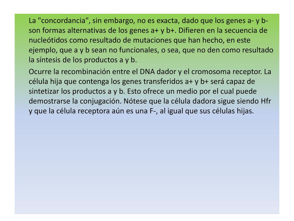 La concordancia , sin embargo, no es exacta, dado que los genes a- y b- son formas alternativas de los genes a+ y b+.