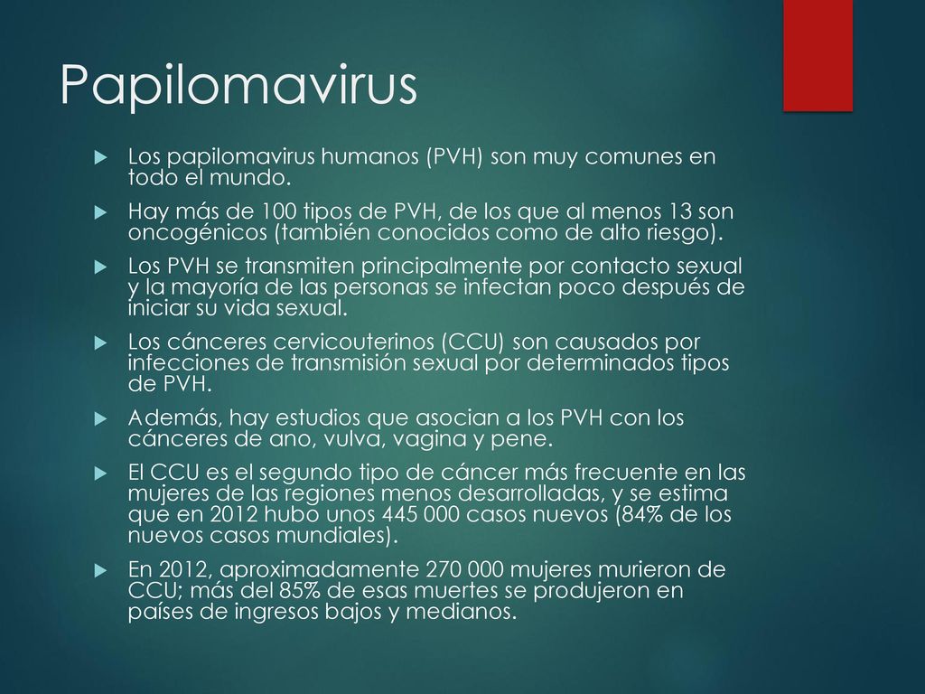 Papilomavirus Los papilomavirus humanos (PVH) son muy comunes en todo el mundo.