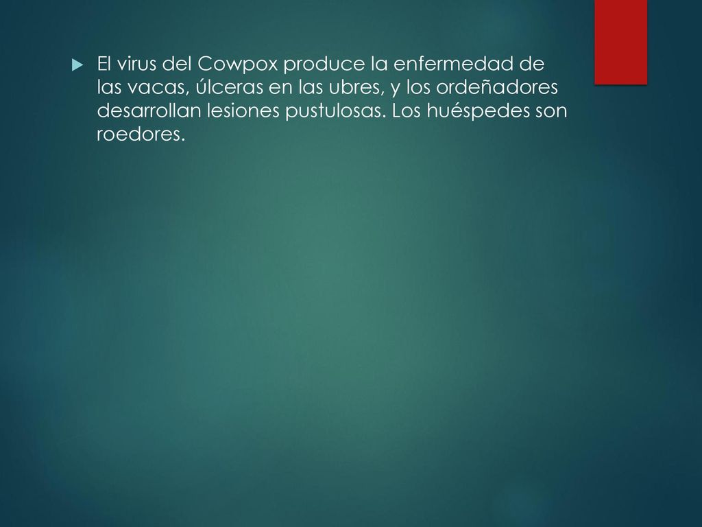 El virus del Cowpox produce la enfermedad de las vacas, úlceras en las ubres, y los ordeñadores desarrollan lesiones pustulosas.