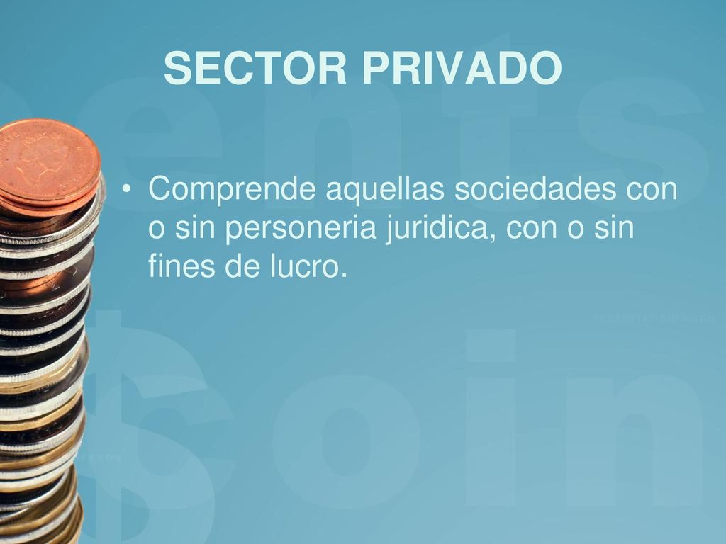 SECTOR PRIVADO Comprende aquellas sociedades con o sin personeria juridica, con o sin fines de lucro.