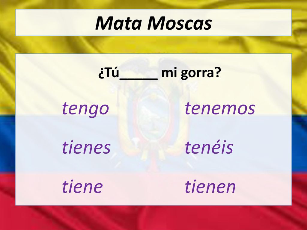 Mata Moscas tienes tenéis tiene tienen ¿Tú_____ mi gorra