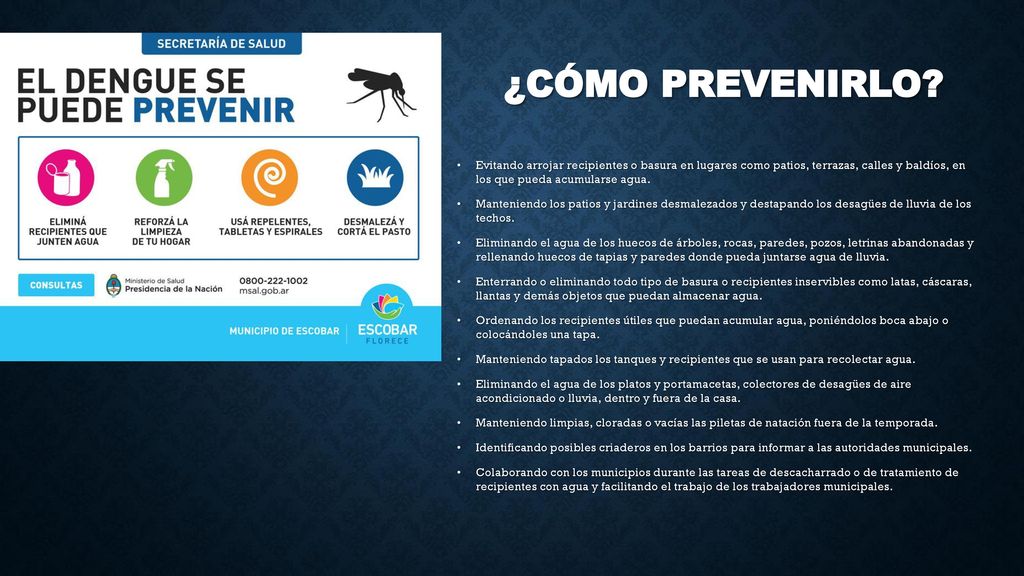 ¿Cómo prevenirlo Evitando arrojar recipientes o basura en lugares como patios, terrazas, calles y baldíos, en los que pueda acumularse agua.