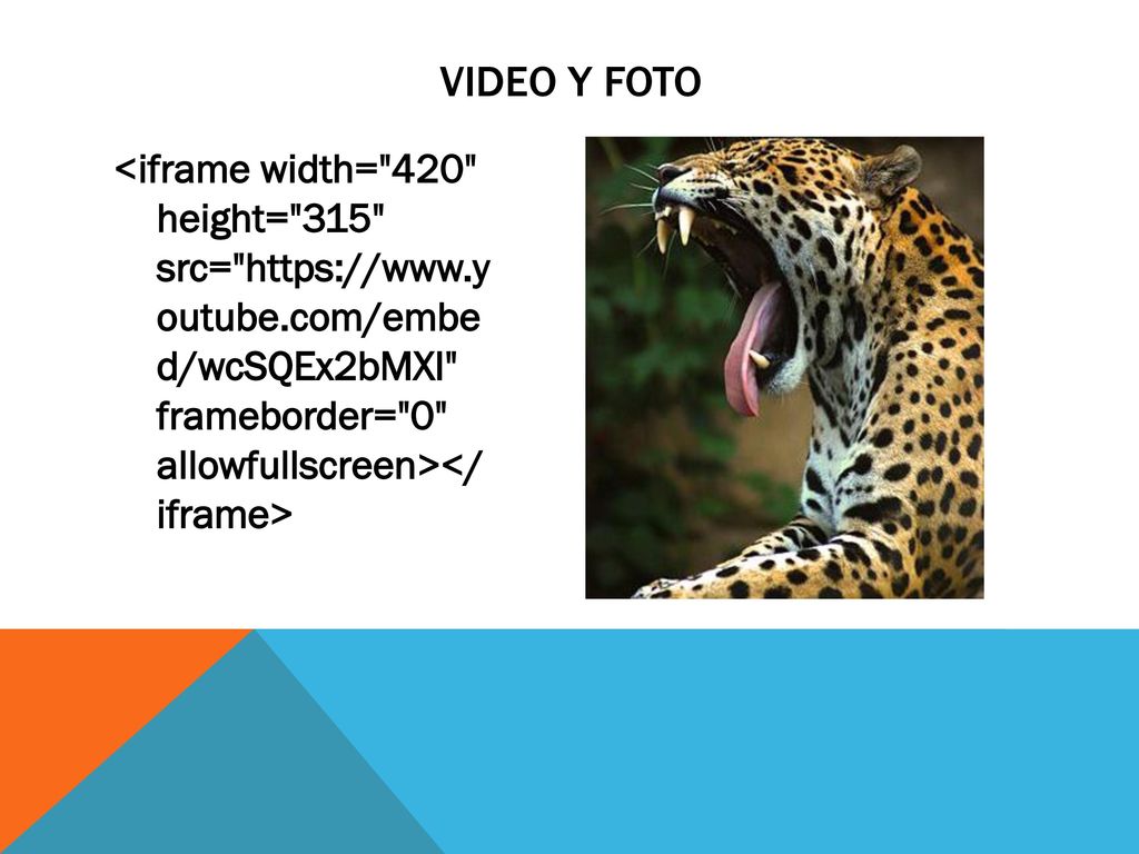 VIDEO Y FOTO <iframe width= 420 height= 315 src=   outube.com/embe d/wcSQEx2bMXI frameborder= 0 allowfullscreen></ iframe>