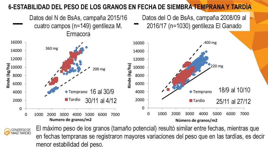 6-ESTABILIDAD DEL PESO DE LOS GRANOS EN FECHA DE SIEMBRA TEMPRANA Y TARDÍA