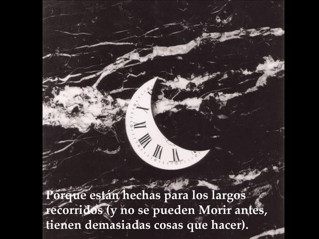 Porque están hechas para los largos recorridos (y no se pueden Morir antes, tienen demasiadas cosas que hacer).