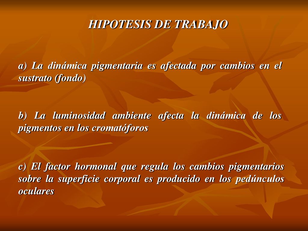 HIPOTESIS DE TRABAJO a) La dinámica pigmentaria es afectada por cambios en el sustrato (fondo)