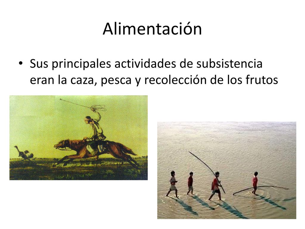 Alimentación Sus principales actividades de subsistencia eran la caza, pesca y recolección de los frutos.
