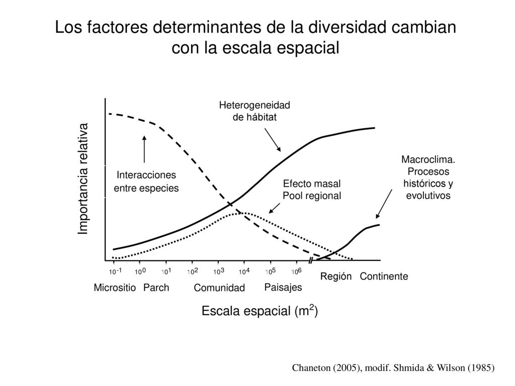 Los factores determinantes de la diversidad cambian con la escala espacial