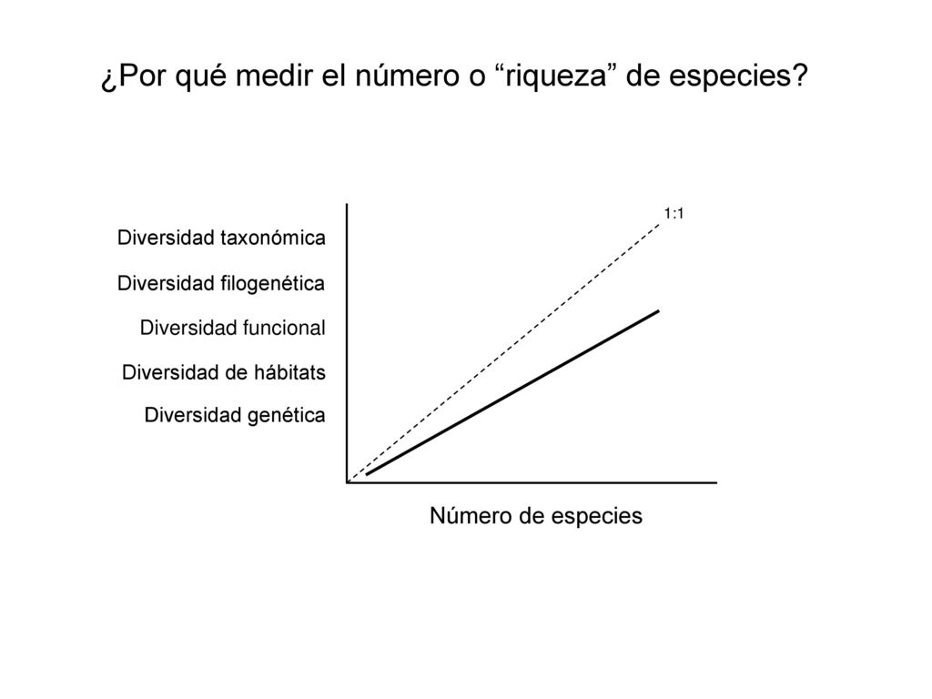 ¿Por qué medir el número o riqueza de especies