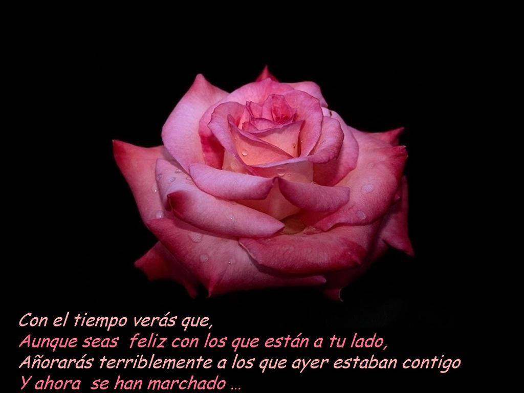 Con el tiempo verás que, Aunque seas feliz con los que están a tu lado, Añorarás terriblemente a los que ayer estaban contigo.