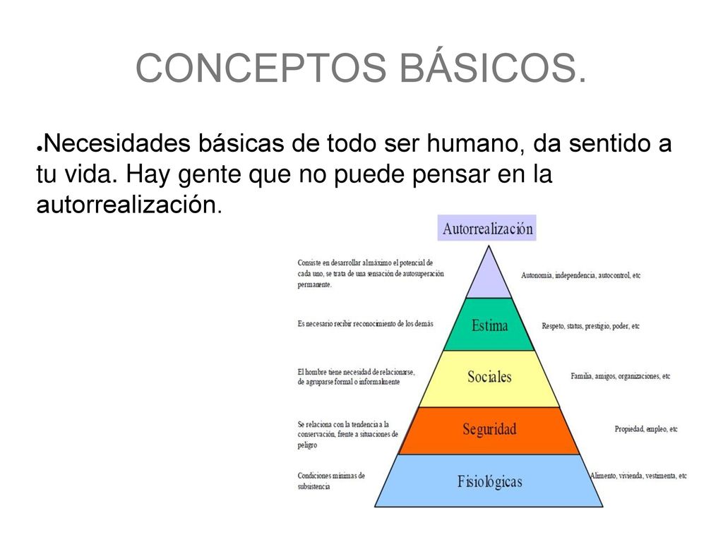 CONCEPTOS BÁSICOS. Necesidades básicas de todo ser humano, da sentido a tu vida.