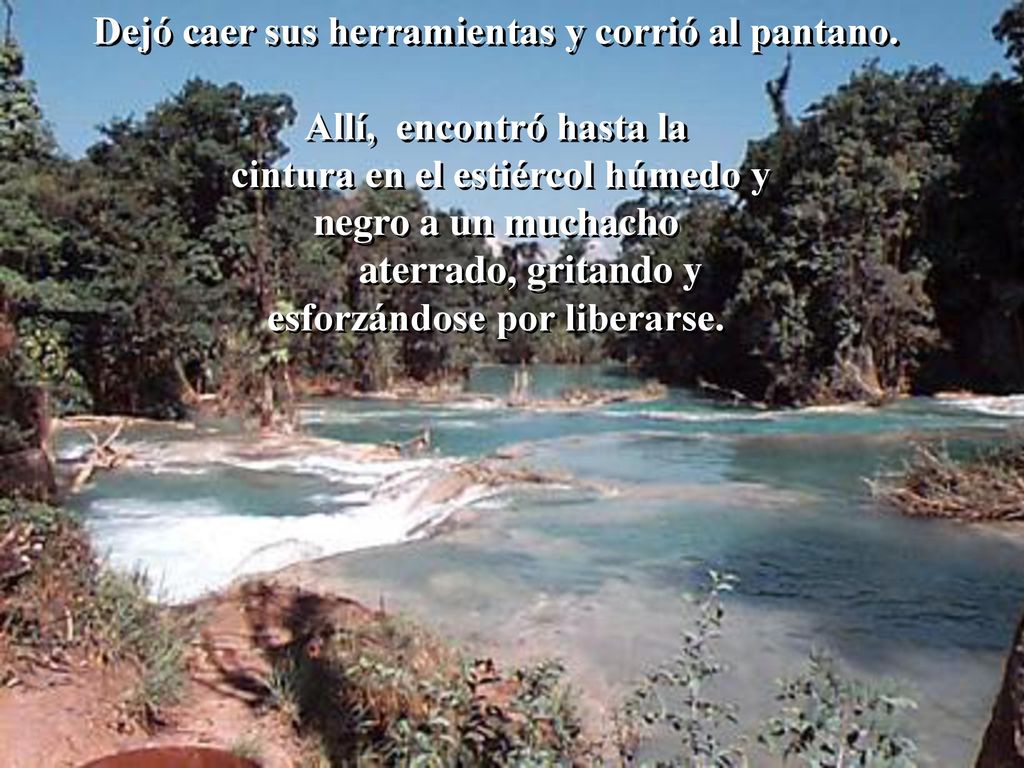 Dejó caer sus herramientas y corrió al pantano.