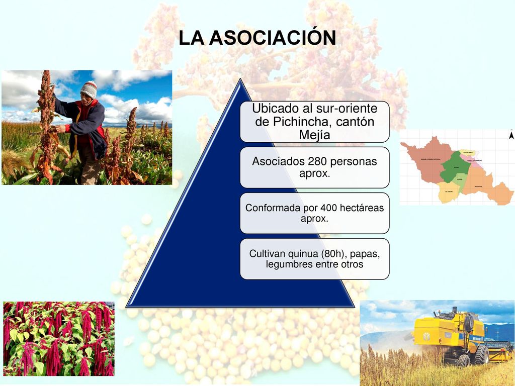 LA ASOCIACIÓN Ubicado al sur-oriente de Pichincha, cantón Mejía