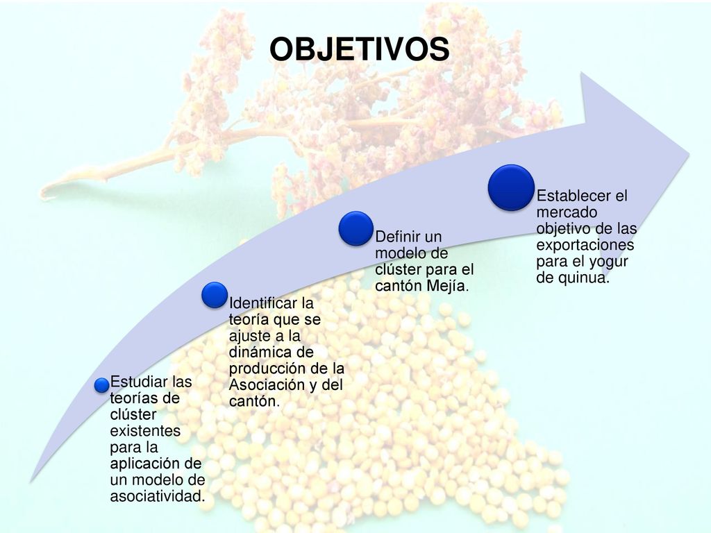 OBJETIVOS Estudiar las teorías de clúster existentes para la aplicación de un modelo de asociatividad.