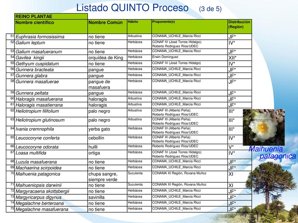 Listado QUINTO Proceso (3 de 5)