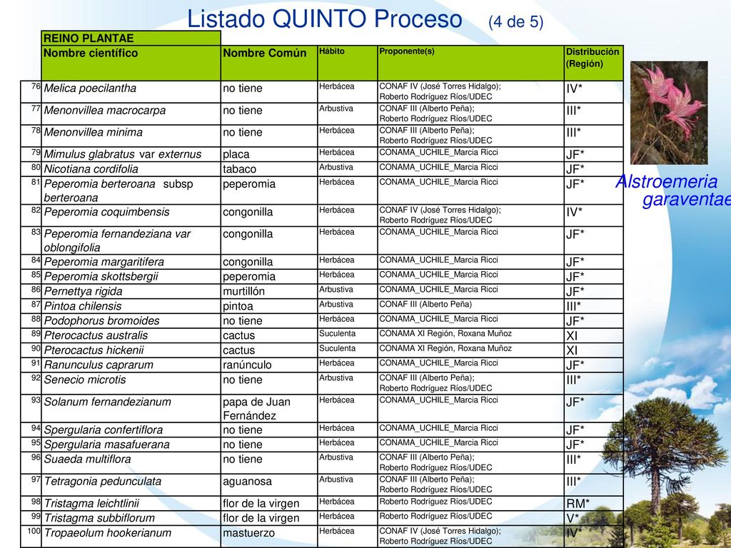 Listado QUINTO Proceso (4 de 5)