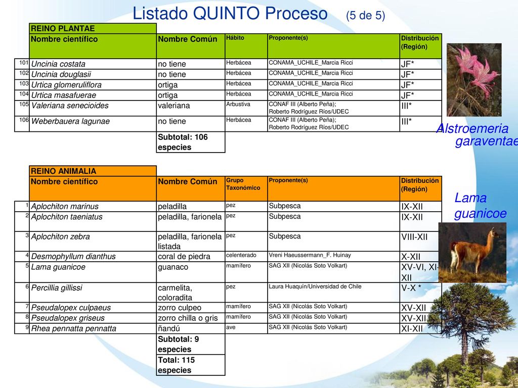 Listado QUINTO Proceso (5 de 5)