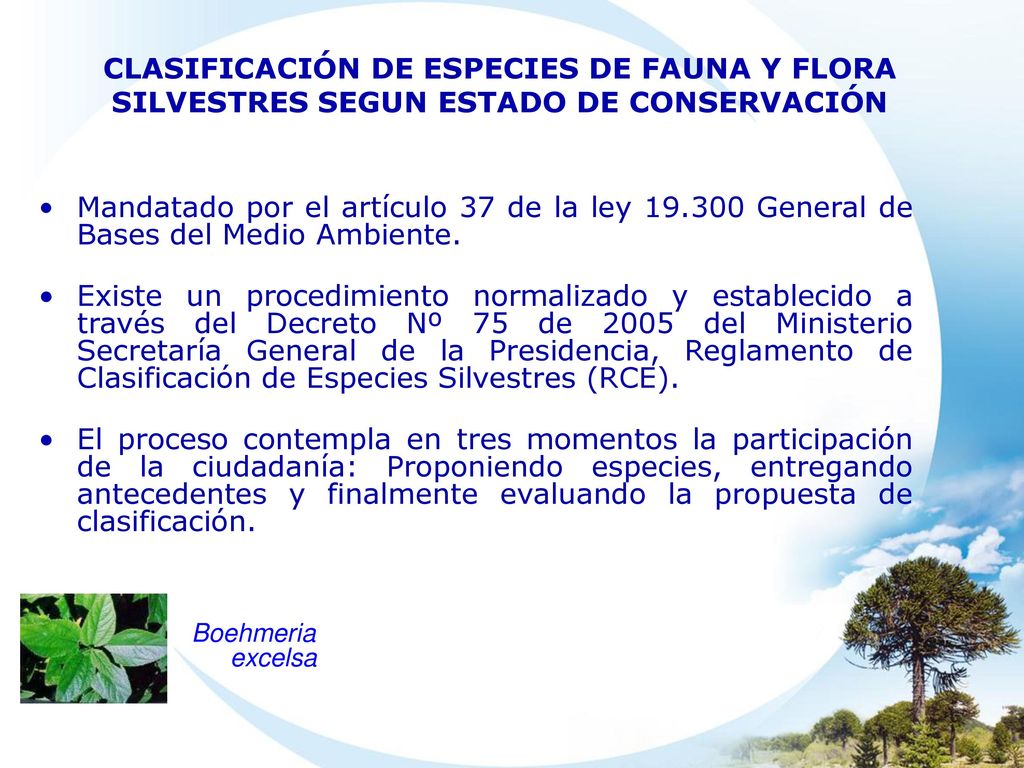 CLASIFICACIÓN DE ESPECIES DE FAUNA Y FLORA SILVESTRES SEGUN ESTADO DE CONSERVACIÓN