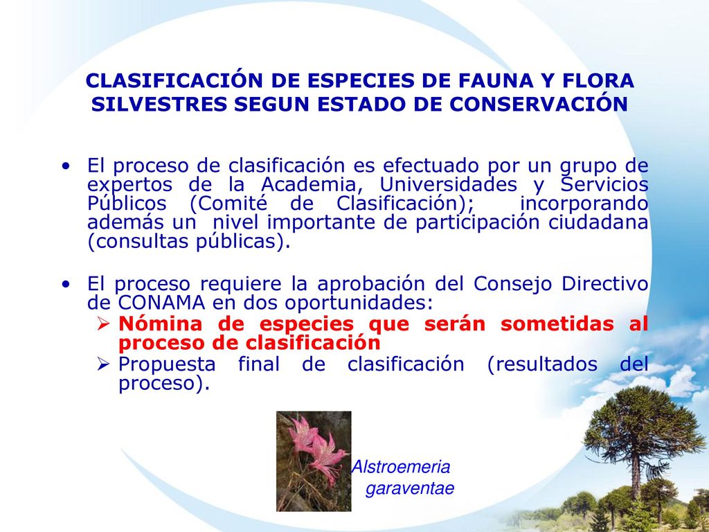 Nómina de especies que serán sometidas al proceso de clasificación