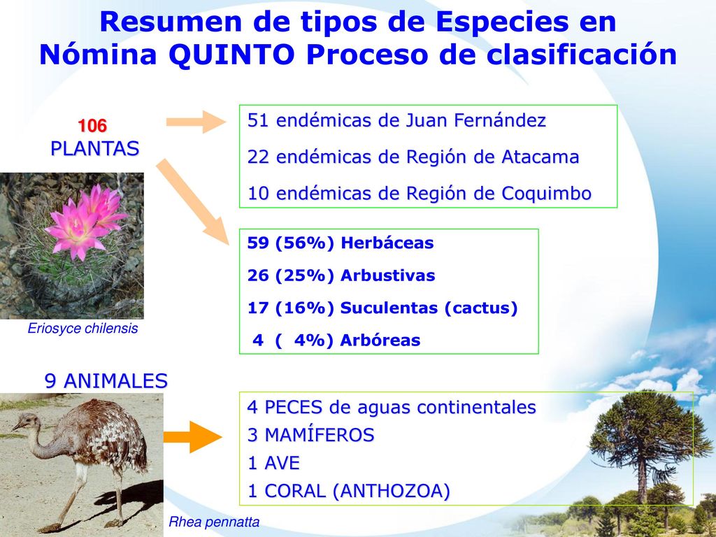 Resumen de tipos de Especies en Nómina QUINTO Proceso de clasificación