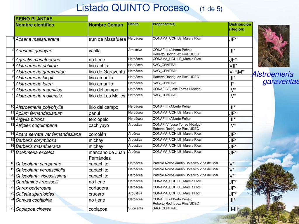 Listado QUINTO Proceso (1 de 5)