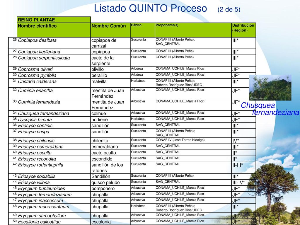 Listado QUINTO Proceso (2 de 5)