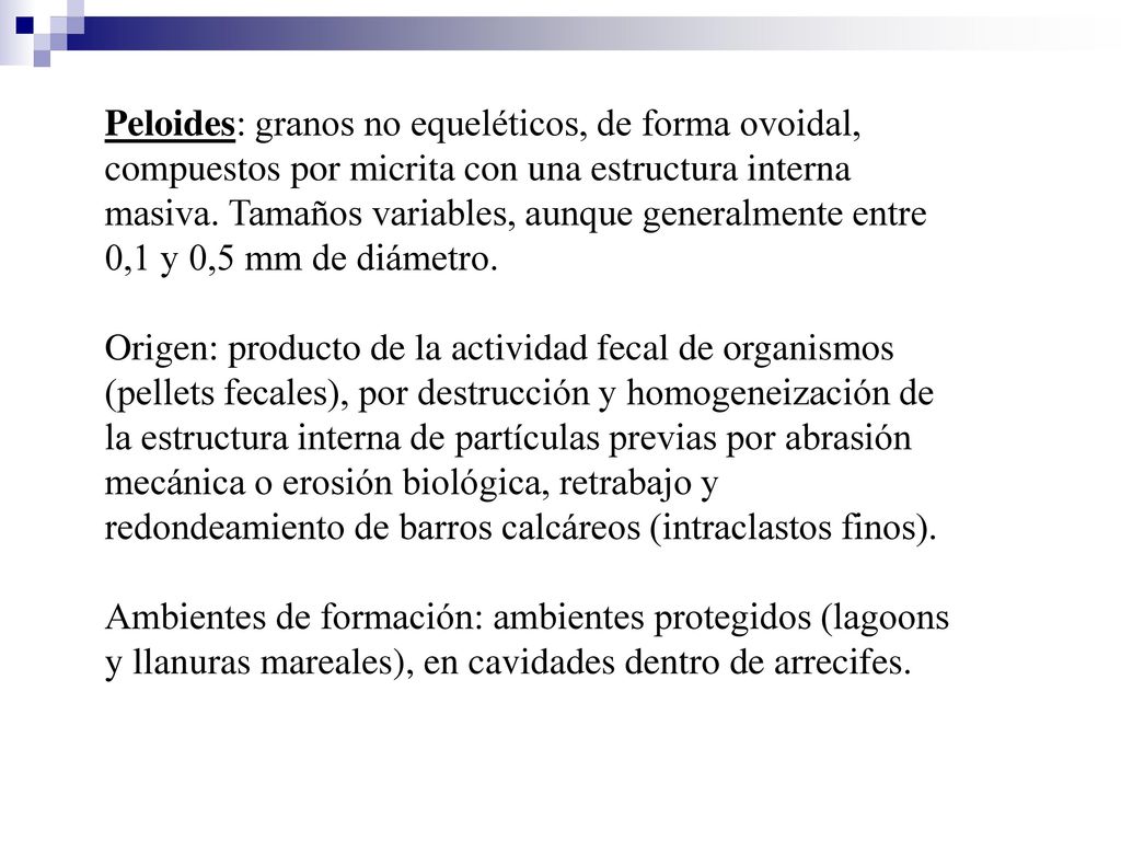 Peloides: granos no equeléticos, de forma ovoidal, compuestos por micrita con una estructura interna masiva. Tamaños variables, aunque generalmente entre 0,1 y 0,5 mm de diámetro.