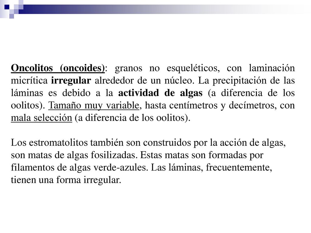 Oncolitos (oncoides): granos no esqueléticos, con laminación micrítica irregular alrededor de un núcleo. La precipitación de las láminas es debido a la actividad de algas (a diferencia de los oolitos). Tamaño muy variable, hasta centímetros y decímetros, con mala selección (a diferencia de los oolitos).