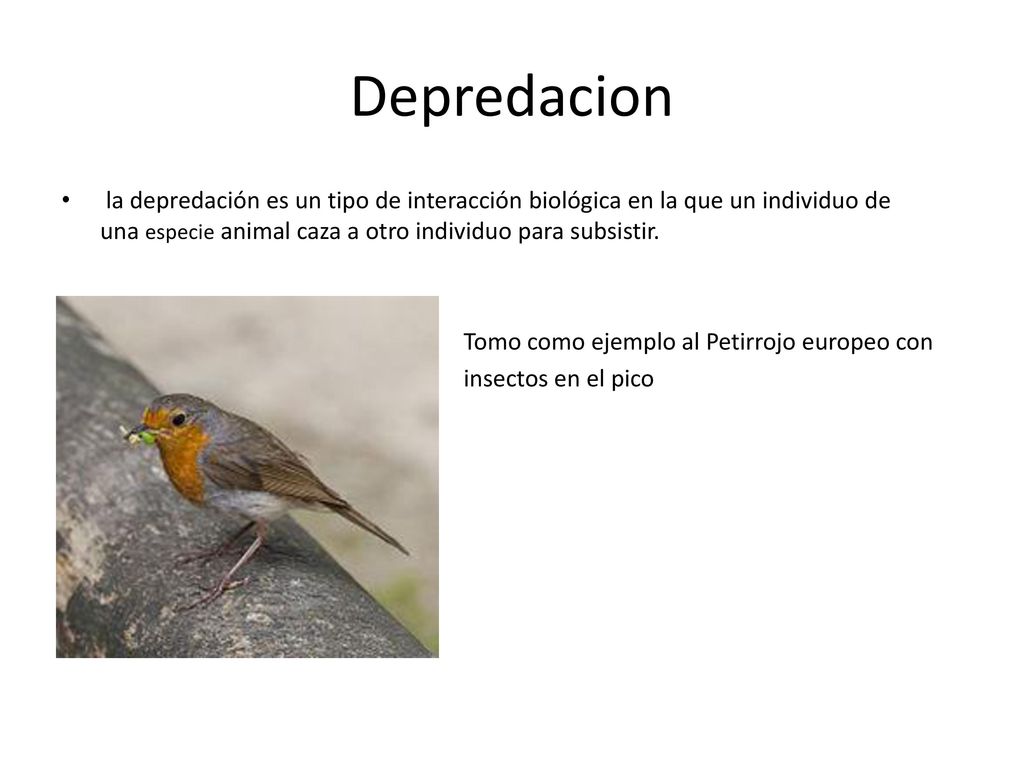 Depredacion la depredación es un tipo de interacción biológica en la que un individuo de una especie animal caza a otro individuo para subsistir.