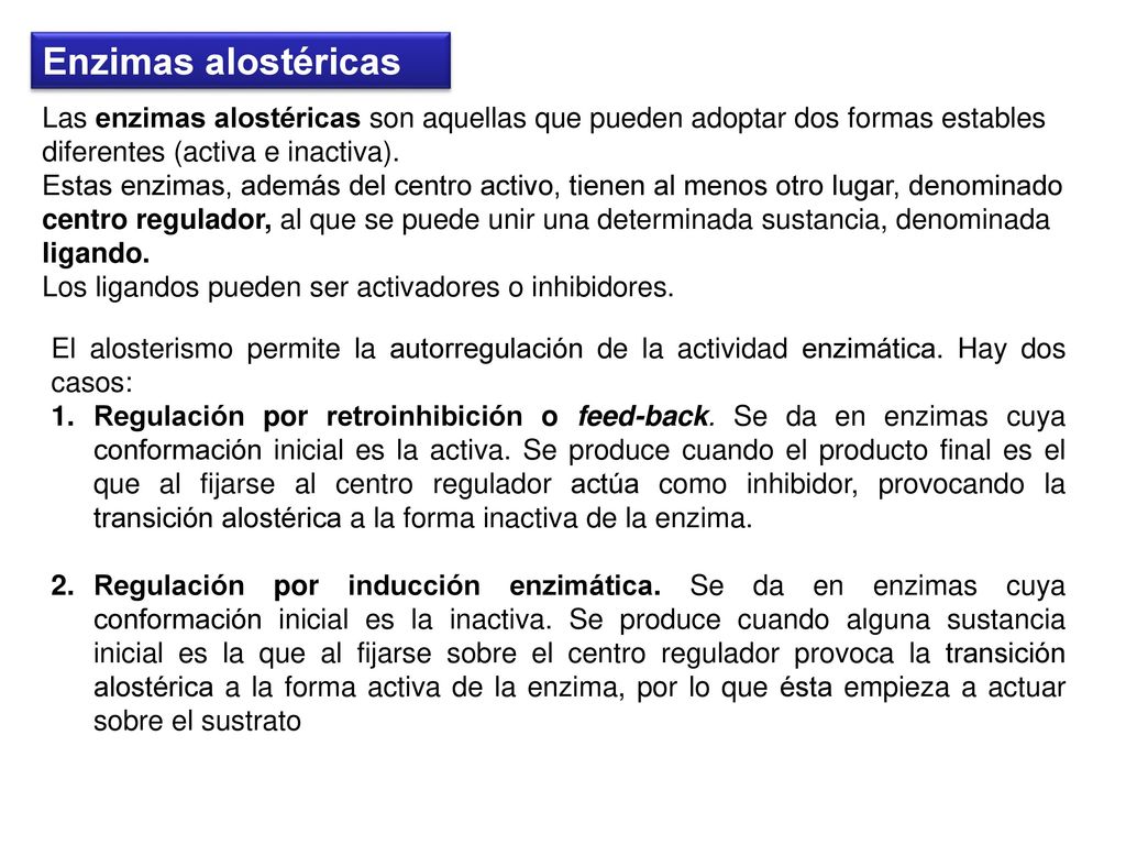 Enzimas alostéricas Las enzimas alostéricas son aquellas que pueden adoptar dos formas estables diferentes (activa e inactiva).