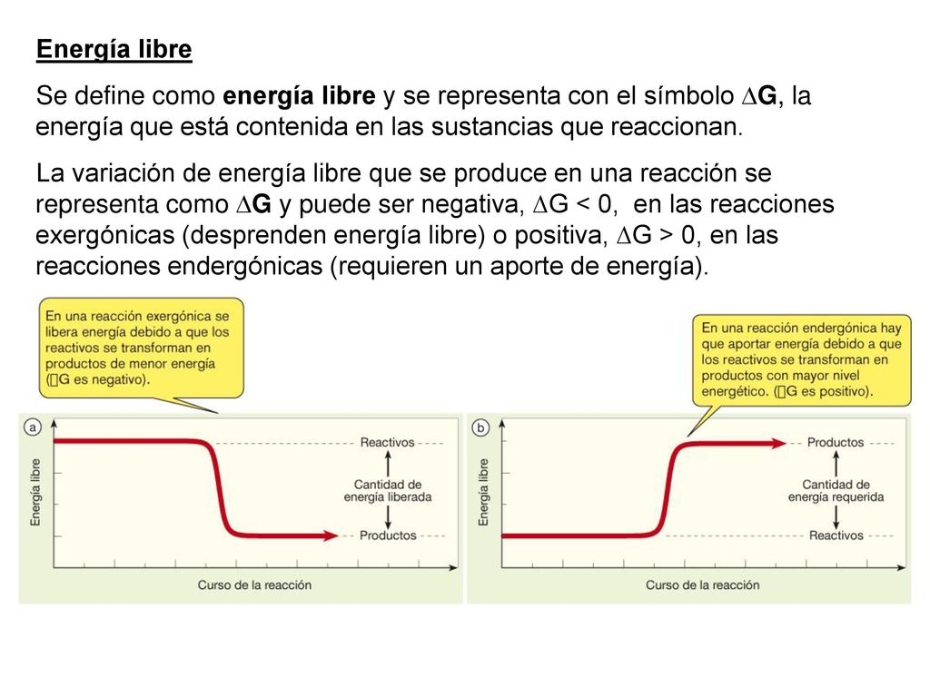 Energía libre Se define como energía libre y se representa con el símbolo DG, la energía que está contenida en las sustancias que reaccionan.