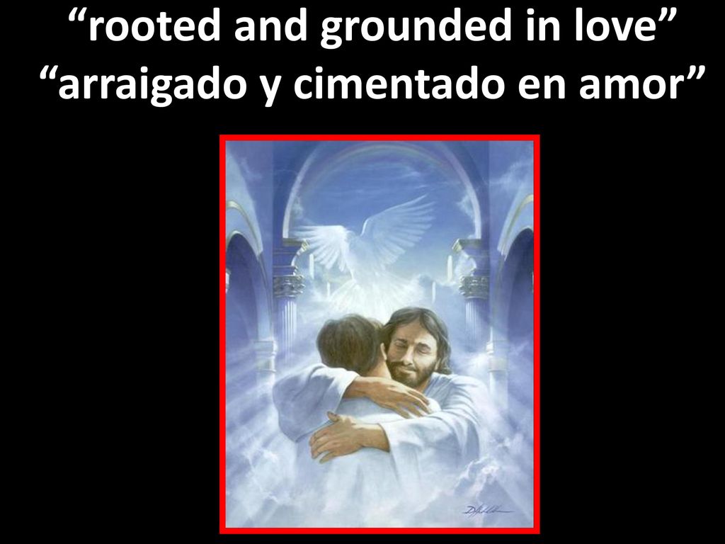 rooted and grounded in love arraigado y cimentado en amor