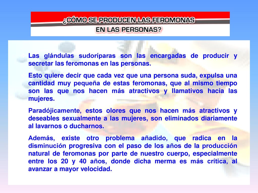 Las glándulas sudoríparas son las encargadas de producir y secretar las feromonas en las personas.