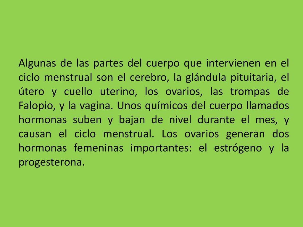 Algunas de las partes del cuerpo que intervienen en el ciclo menstrual son el cerebro, la glándula pituitaria, el útero y cuello uterino, los ovarios, las trompas de Falopio, y la vagina.